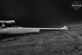 Mossberg Model 702 Plinkster .22 LR in Excellent Condition Image 5