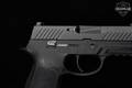 Sig Sauer P320 Subcompact 9mm Luger Nitron in Good Condition Image 4