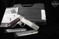 Dan Wesson Pointman Nine 9mm Luger (9x19 Para) Stainless Steel in Excellent Condition Image 2