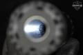 HuxWrx Ventum 12 12 Gauge in Very Good Condition Image 4