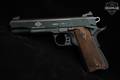 German Sport Guns (GSG) GSG-1911 .22 LR Black in Excellent Condition Image 5
