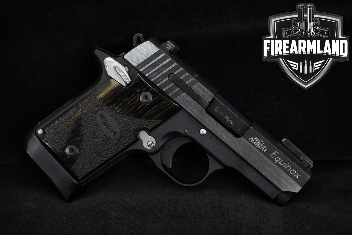 Sig Sauer P938 Equinox 9mm 3.0" Two-Tone +3 MAGS & HOLSTER