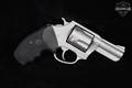 Charter Arms Bulldog Stainless Standard .44 Special Stainless in Very Good Condition Image 4