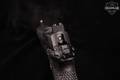 2024 ZEV Sig Sauer P226 Z Optic ready 9mm Luger Black in Excellent Condition Image 5