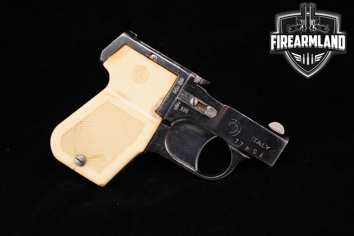 QUAD BARRELS! EIG Model E-18 22LR 2.5" Bright Nickel