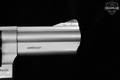Taurus 44 SS4 .44 Mag. Stainless Steel in Good Condition Image 3