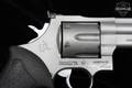 Taurus 44 SS4 .44 Mag. Stainless Steel in Good Condition Image 4