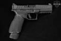 Springfield Armory Echelon U-Notch 9mm Luger Black in Excellent Condition Image 5