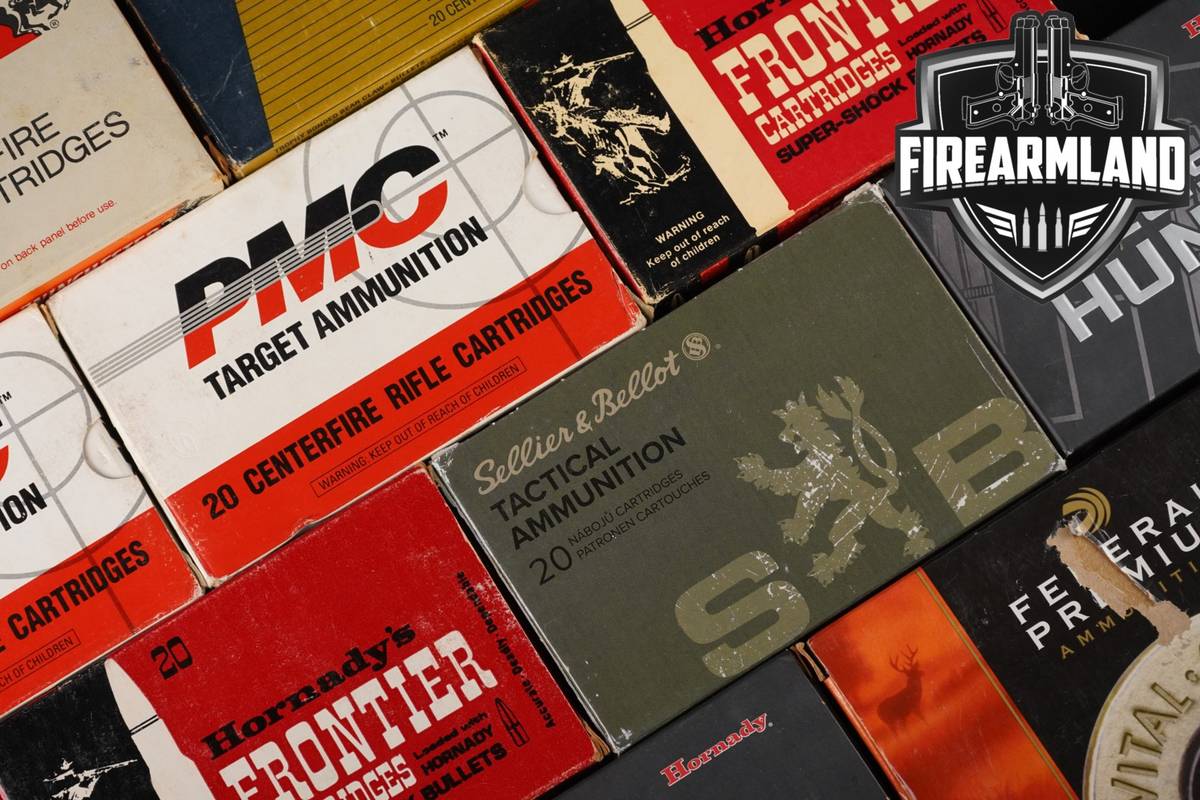 220 RDS! 30-06 Ammo 3006 Ammunition