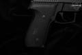 Sig Sauer P229 Legacy 9mm Luger Nitron in Excellent Condition Image 3