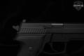 Sig Sauer P229 Legacy 9mm Luger Nitron in Excellent Condition Image 4