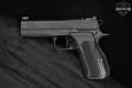 Dan Wesson DWX Compact With Light Rail 9mm Luger Black in Excellent Condition Image 3