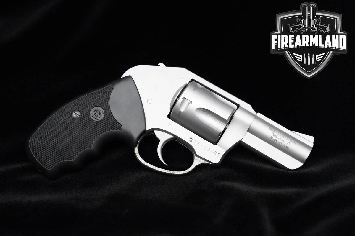 Charter Arms Bulldog 44 Special 2.5" Stainless Revolver DA/SA