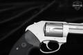 Charter Arms Bulldog .44 Special Stainless Steel in Excellent Condition Image 3