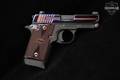 Sig Sauer P938 Rainbow Titanium 9mm Luger Titanium Rainbow in Very Good Condition Image 3