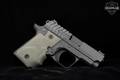 Springfield Armory 911 .380 ACP Stainless in Excellent Condition Image 3