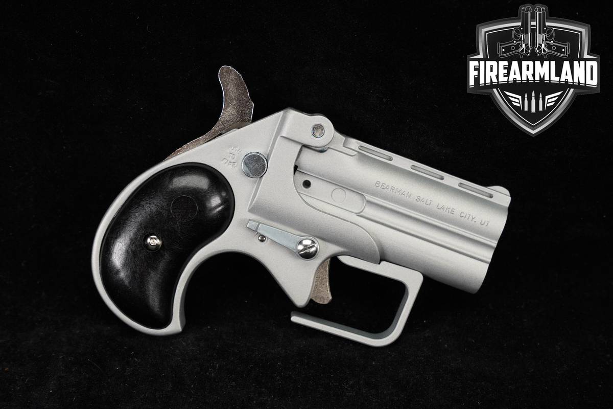 Bearman Big Bore Guardian BBG9 9mm 2.75" Light Gray +ORIG BOX