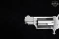 North American Arms (NAA) NAA-22MS .22 Mag. Silver in Excellent Condition Image 3