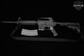 Bushmaster XM15-E2S 5.56mm NATO Black Anodized in Excellent Condition Image 2