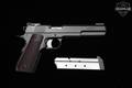 Dan Wesson Bruin 10mm Black Duty Finish in Very Good Condition Image 2