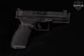 Springfield Armory Echelon 4.5F Comp 10-Round Compliant 9mm Luger Black in Very Good Condition Image 3