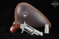 North American Arms (NAA) NAA-22MC Magnum Mini-Revolver, Convertible/Dual Cylinder .22 WMR Stainless in Excellent Condition Image 2