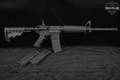 Del-Ton DTI-15 5.56mm NATO Black in Very Good Condition Image 2