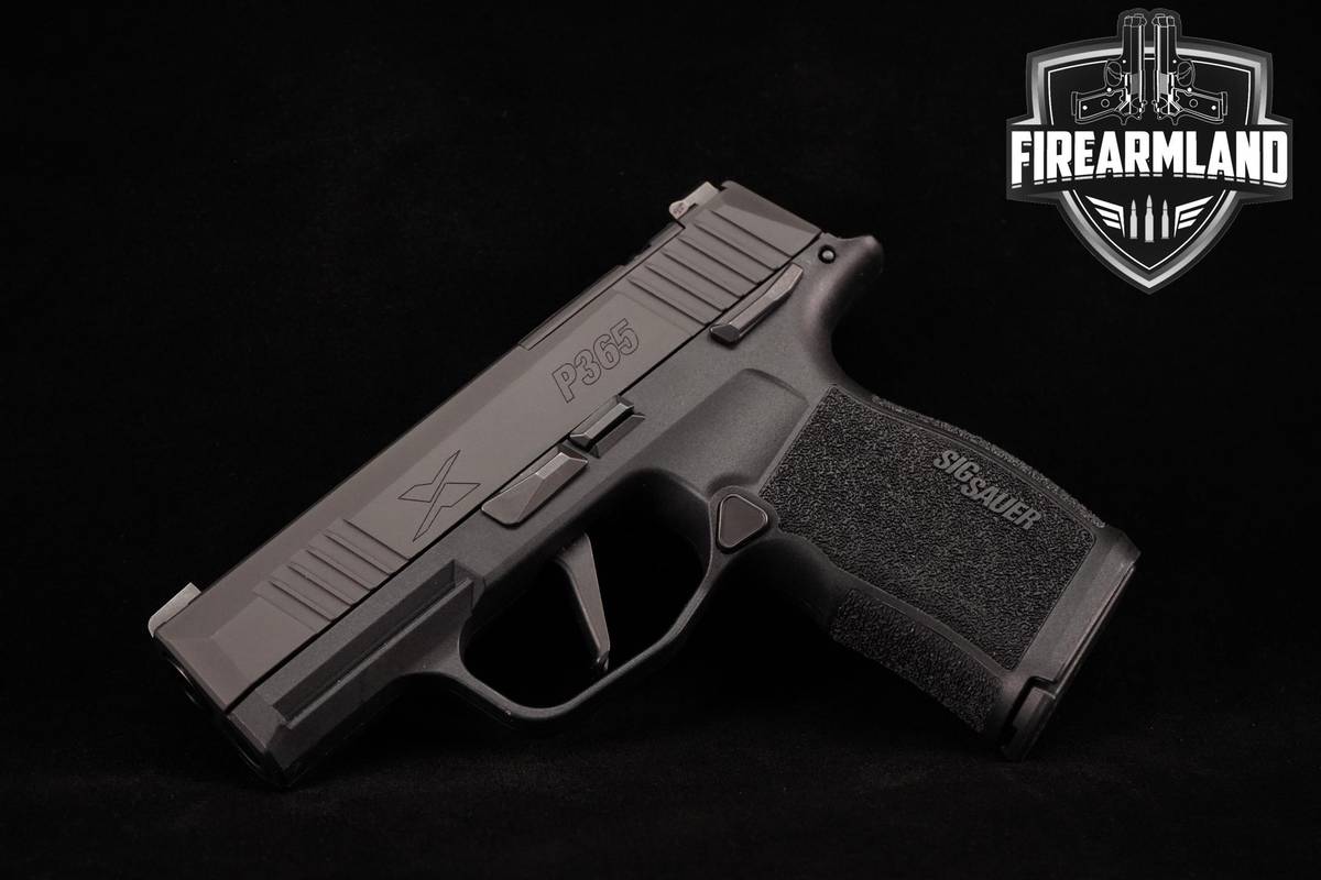 Sig Sauer P365-X 9mm 3.1" Sig-Sauer-P365-X P365X +2 MAGS & HOLSTER
