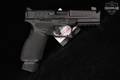 Springfield Armory Echelon 4.5F Comp, Firstline 9mm Luger Black in Excellent Condition Image 4