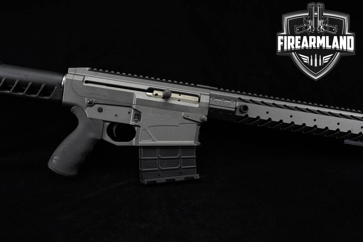 Nemo Arms OMEN 300 Win Magnum 22" Stainless Long-Range Precision +2 MAGS