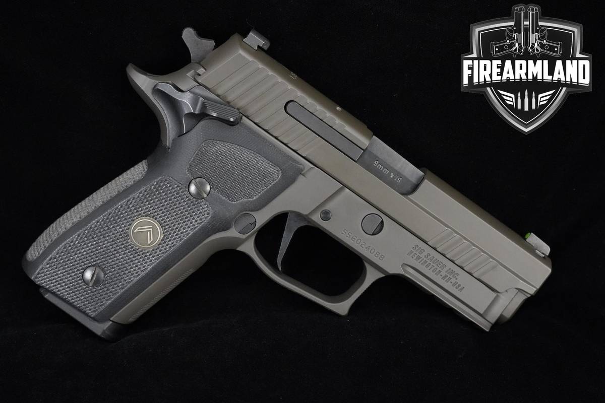 Sig Sauer P229 Legion SAO 9mm Legion Gray Sig-Sauer P229 3 MAGS & ORIG CASE