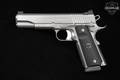 Wilson Combat (WC) ACP Full-Size 9mm Luger Matte Stainless in Excellent Condition Image 4