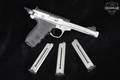 Smith & Wesson (S&W) SW22 VICTORY Performance Center .22 LR Matte Stainless in Very Good Condition Image 2