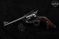 J.P Sauer & Sohn JP Chief Marshal .44 Mag. Blued in Good Condition Image 2