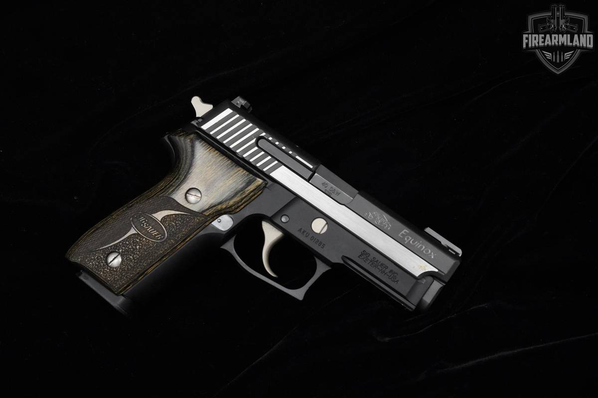 Sig Sauer P229 Equinox 40 S&W 3.9" Two-Tone P229 DA/SA