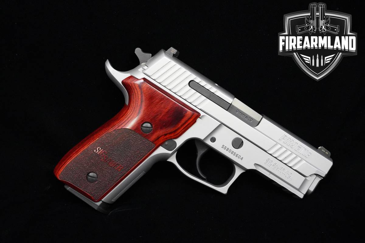 Sig Sauer P229 Stainless Elite 9mm Sig-Sauer P229 P-229 +2 MAGS & ORIG CASE