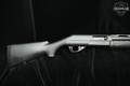 2004 Benelli Nova 12 Gauge Matte Blue in Good Condition Image 3