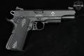 German Sport Guns (GSG) GSG-1911 AD-OPS .22 LR Black in Good Condition Image 5