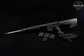 American Spirit Arms Model ASA15 5.56mm NATO Black in Very Good Condition Image 2