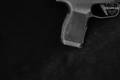 Sig Sauer P365X 9mm Luger Nitron in Like-New Condition Image 4