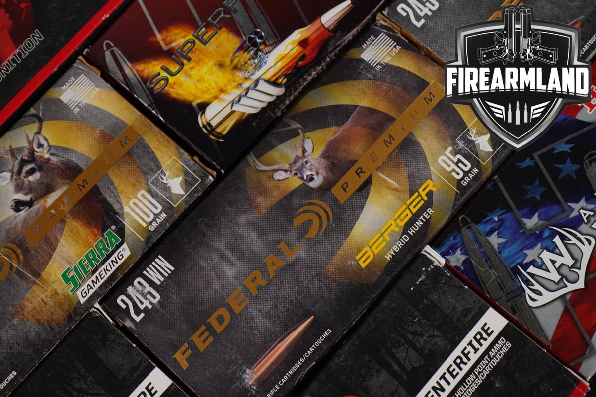 160 RDS! 243 Win Ammo Ammunition