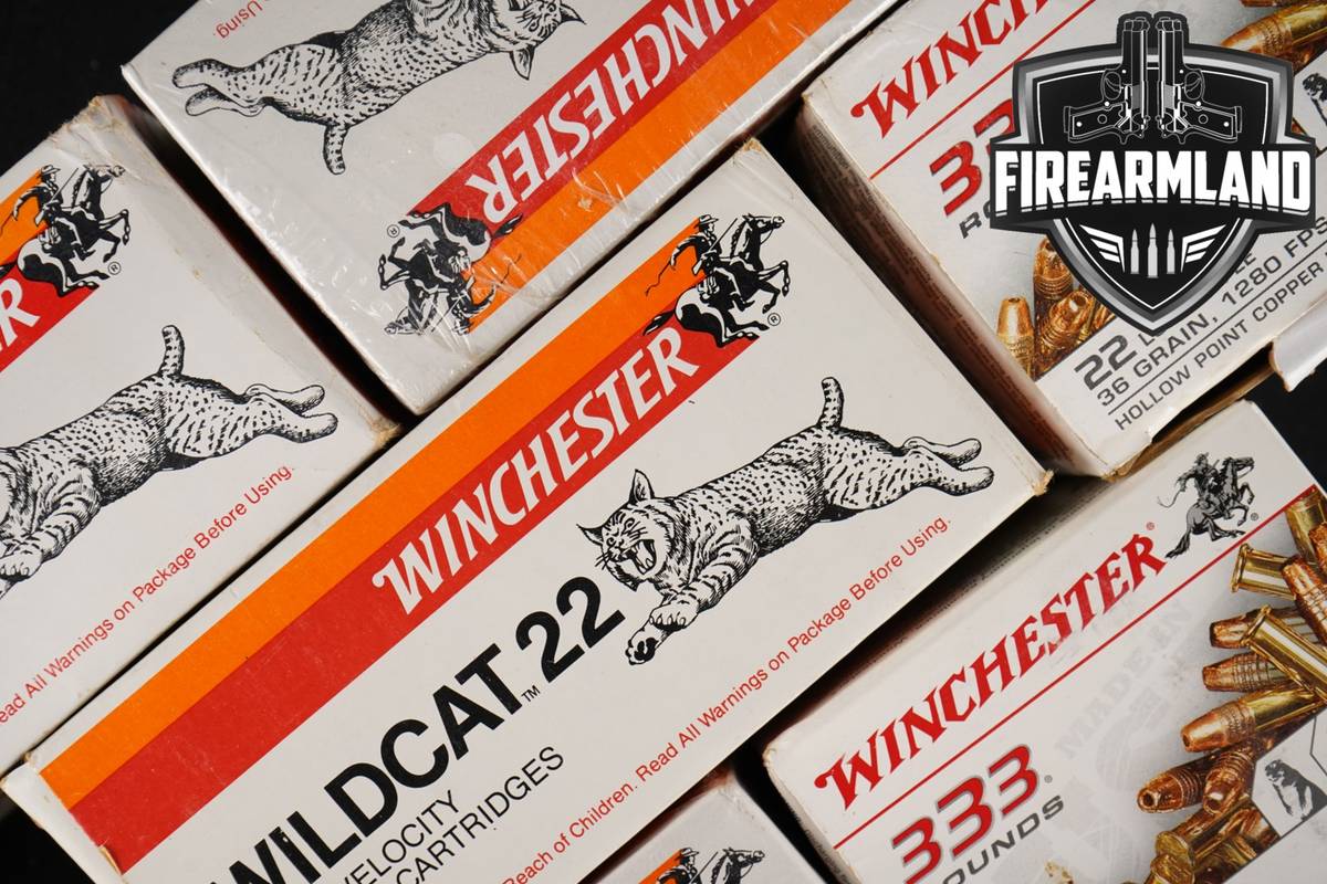 2666 RDS! 22LR Ammo 22 LR Ammunition