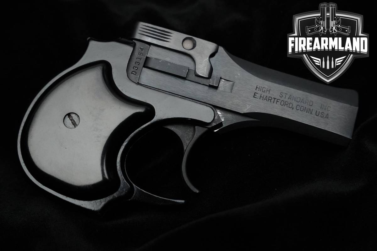 1979 High Standard Derringer DM-101 22 Magnum 3.5" Blued Derringer DM101