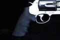 Smith & Wesson (S&W) Model 500 500 S&W Magnum Stainless Steel in Excellent Condition Image 3