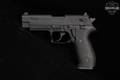 Sig Sauer Mosquito .22 LR Black in Very Good Condition Image 3