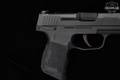 Sig Sauer P365 MS .380 ACP Nitron in Excellent Condition Image 4
