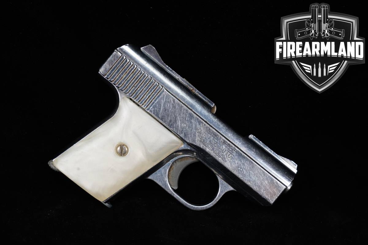 Raven Arms Model MP-25 25ACP MP25 2.5" Silver Pearl-Style Grips USA