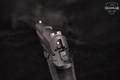 Sig Sauer P227 Nitron Full-Size .45 ACP matte black in Good Condition Image 5