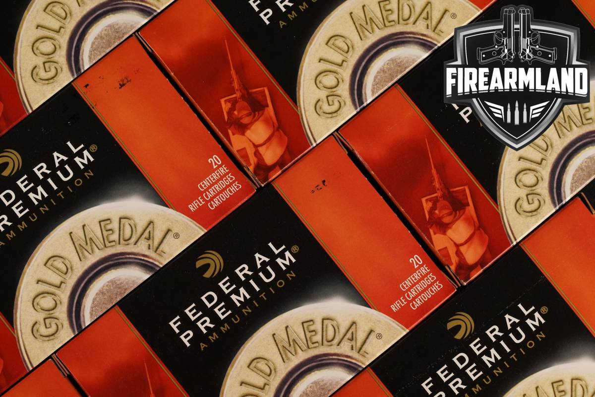 200 RDS! 308 Winchester Ammo Ammunition