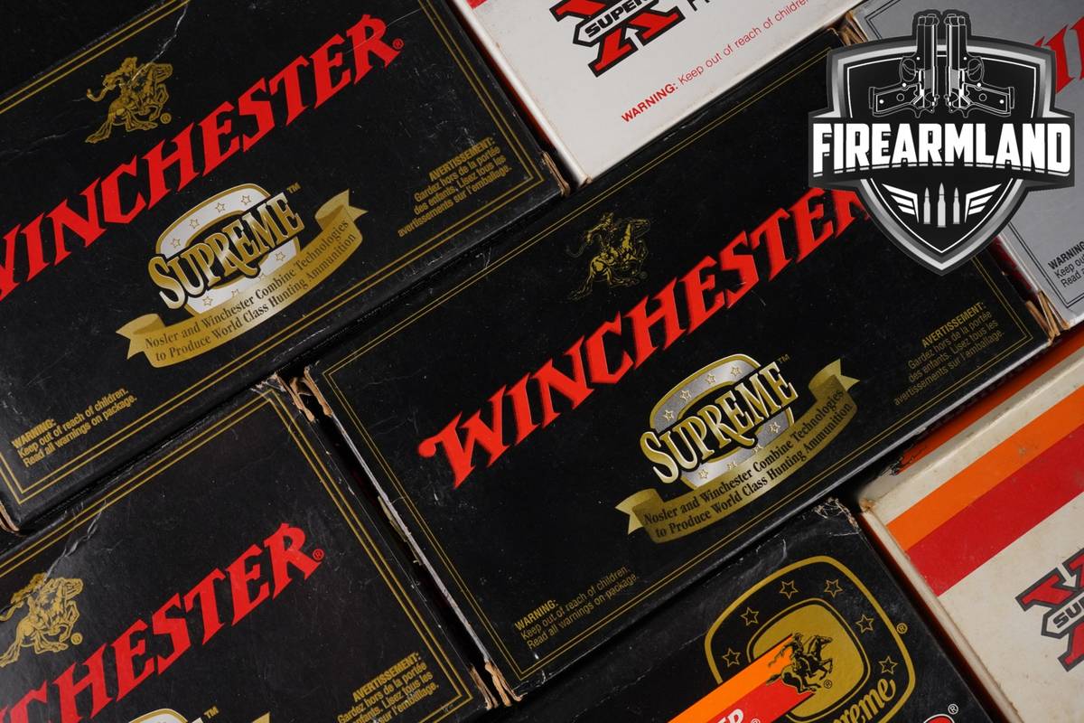 220 RDS! 308 Winchester Ammo Ammunition